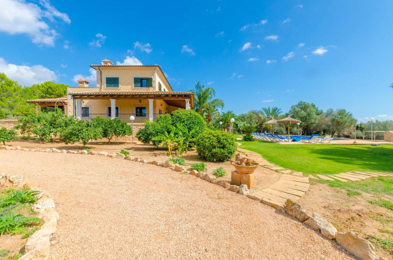Villa Bou *