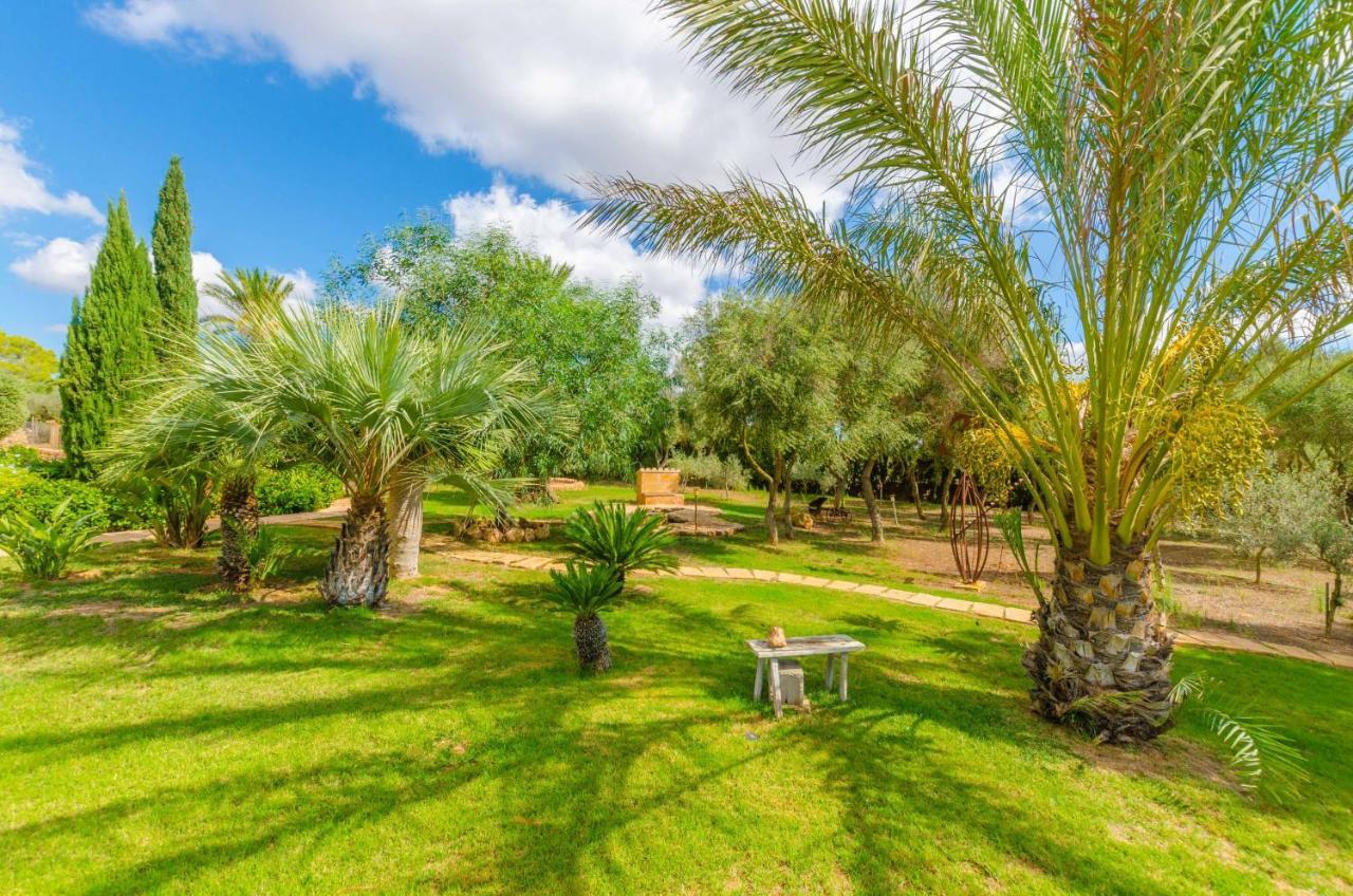 Villa Bou Las Salinas