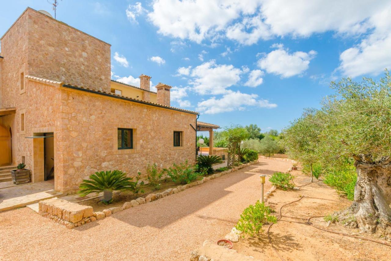 Bou Ses Salines (Mallorca)